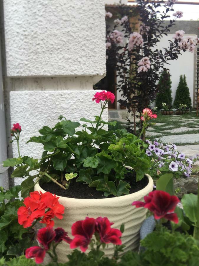 My Garden Hotel Tbilisi Bagian luar foto
