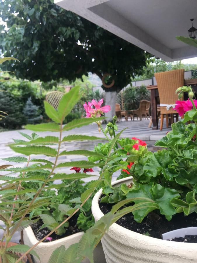 My Garden Hotel Tbilisi Bagian luar foto