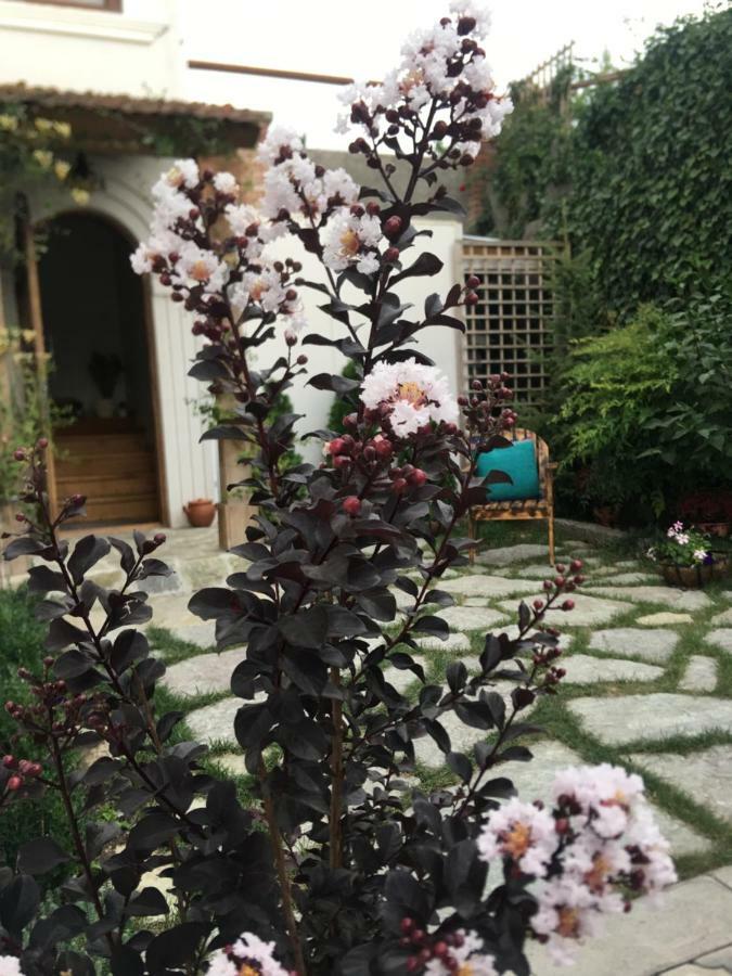 My Garden Hotel Tbilisi Bagian luar foto